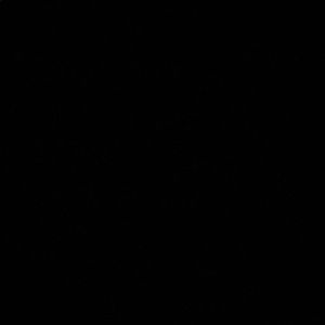 Meet your Posher, Xavier